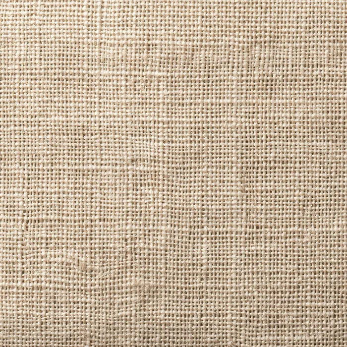 Natural Tan Canvas swatch
